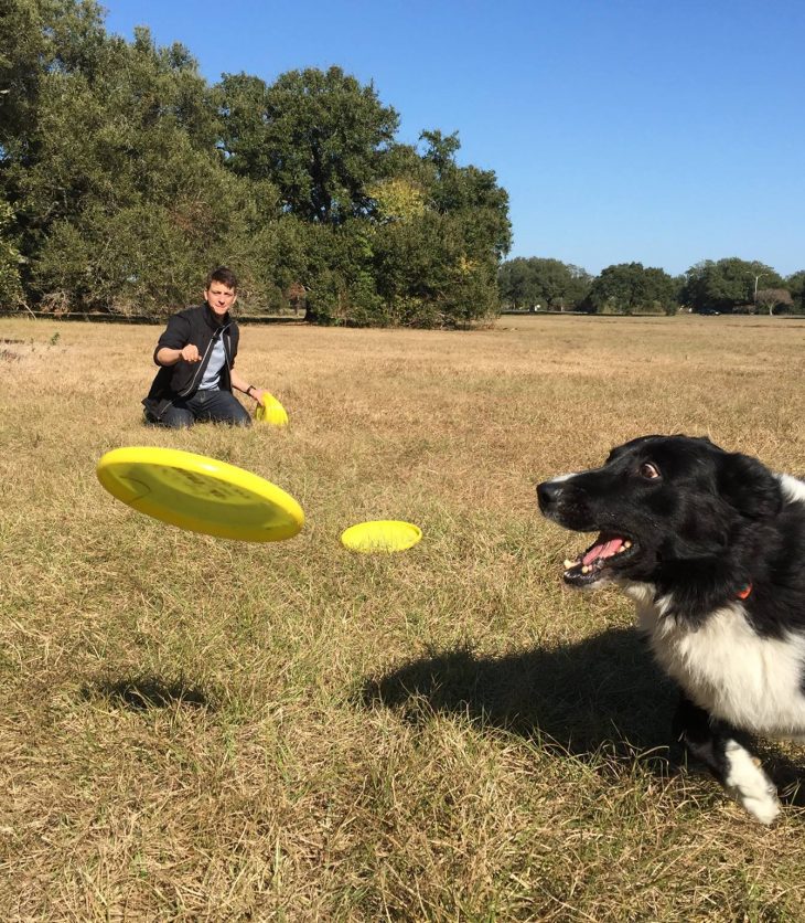 Play Fetch Before You Train Without the Pain