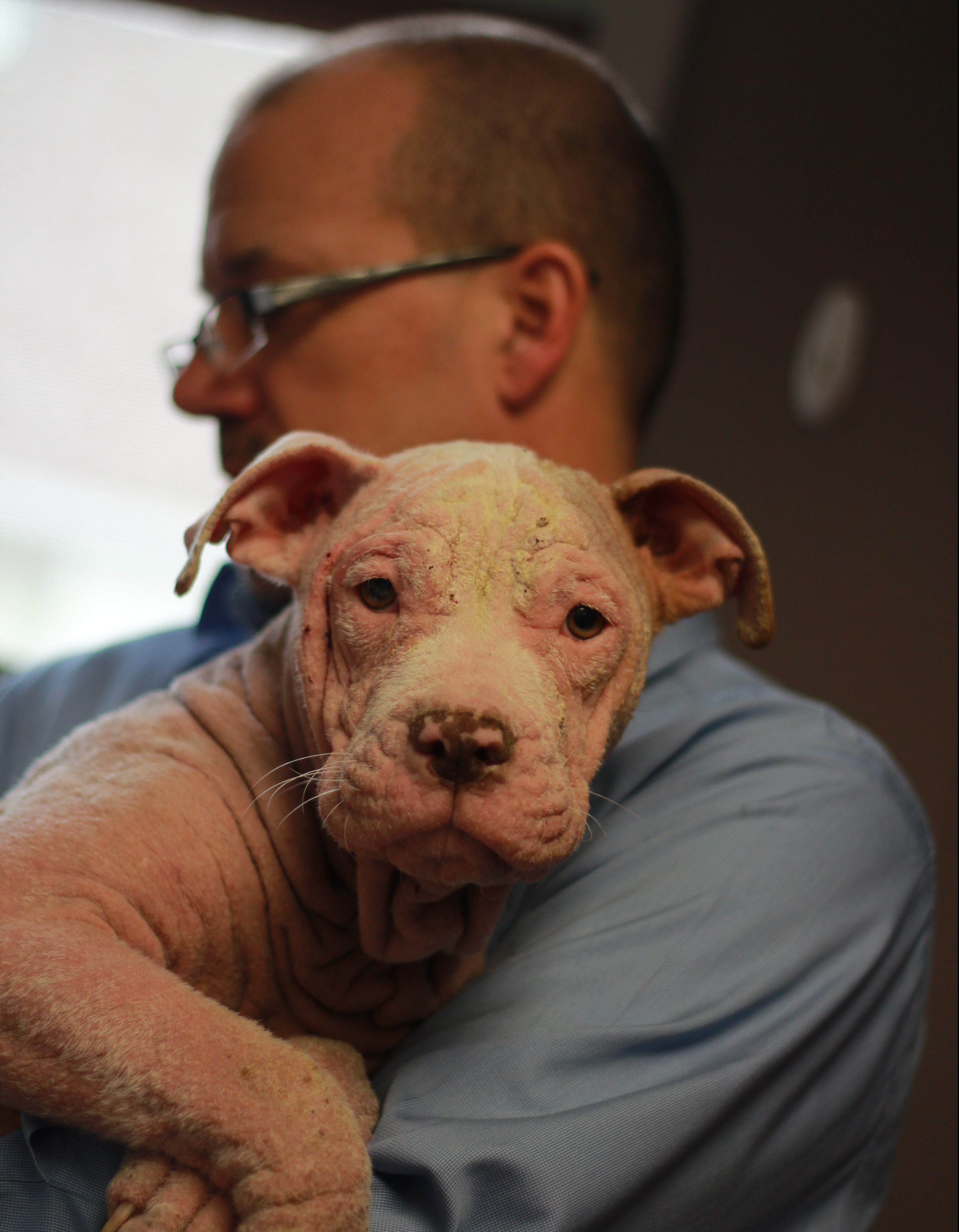 The Zephyrs provides safe passage for up to 80 animals!