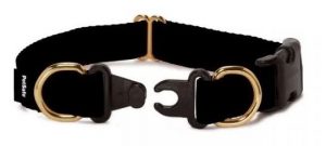 Break Away Collar