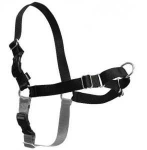 A new kind of harness