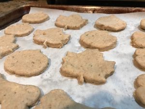 Healthy Halloween dog treats