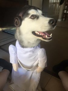 Rajah as Princess Leia