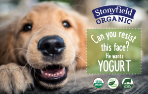 Probiotics are delicious!