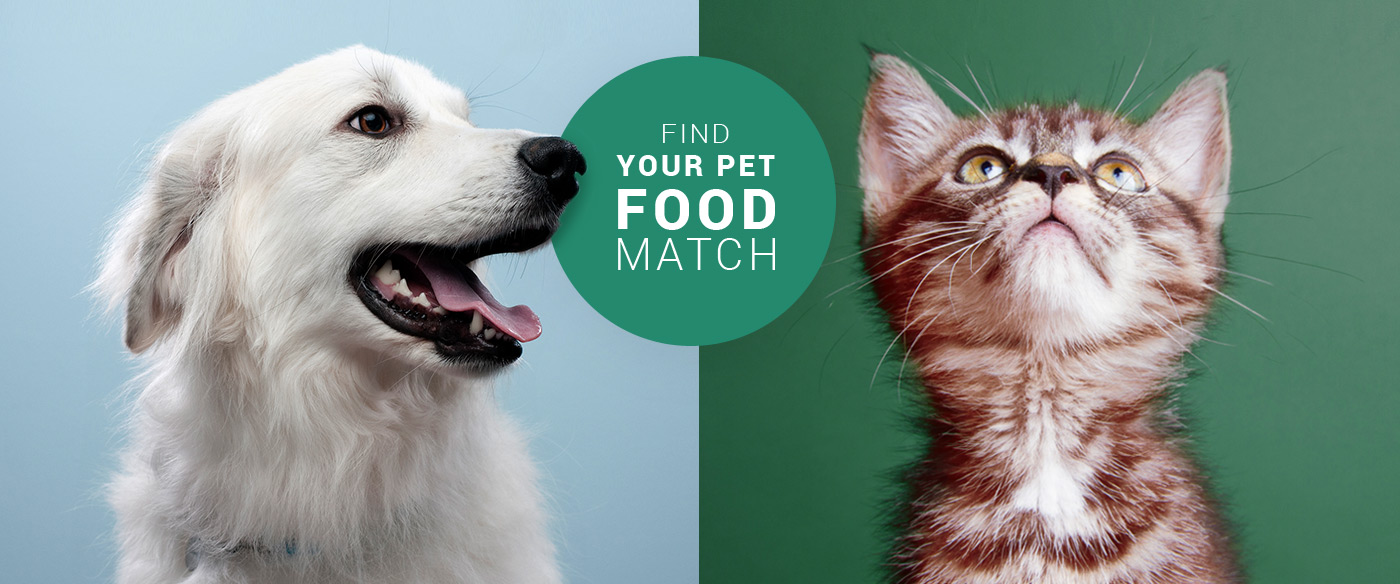 The Nutro Feed Clean Philosophy & Why It's So Great For Our Furry Friends!