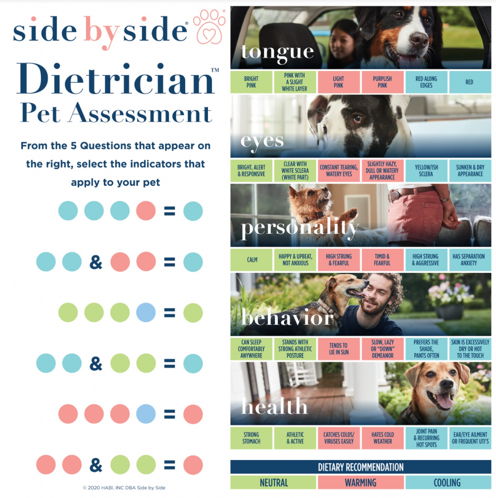 The Side by Side Difference The Official PetFlow Blog